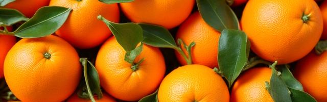 Navel- und Valencia-Orangen in Premium-Qualität